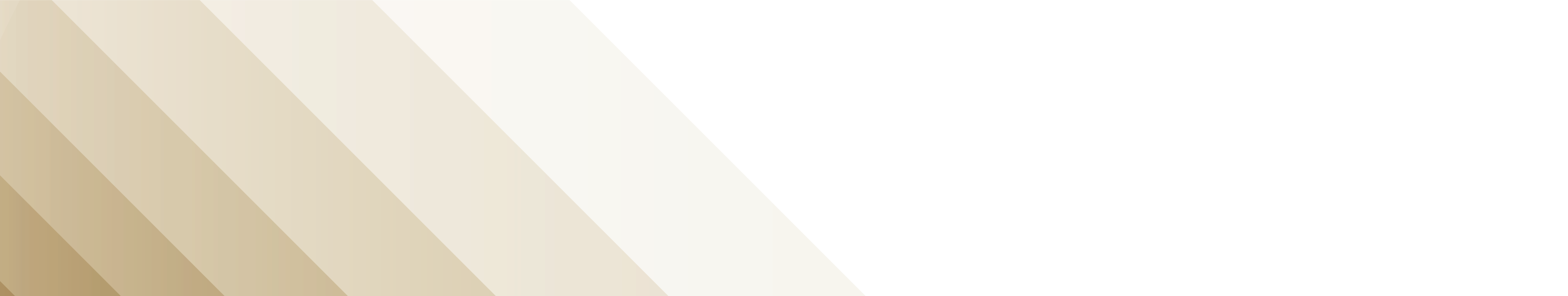 Decorative header bar
