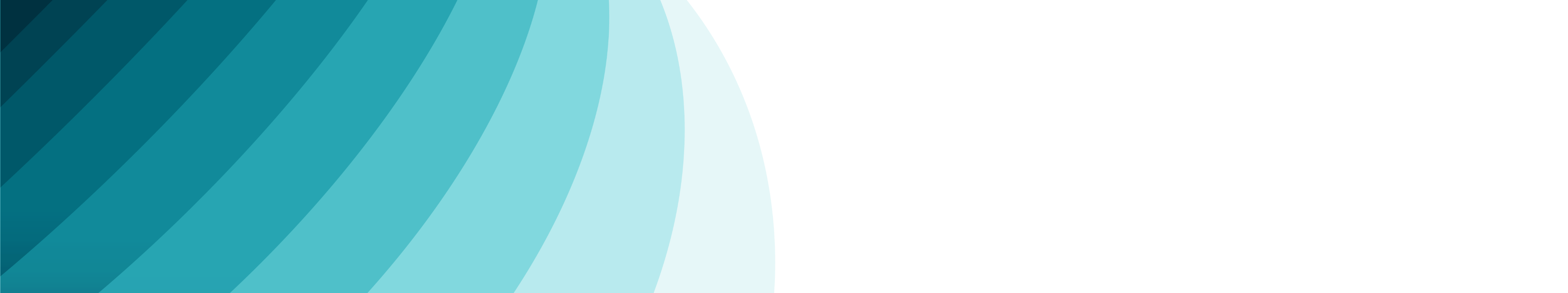 Decorative header bar